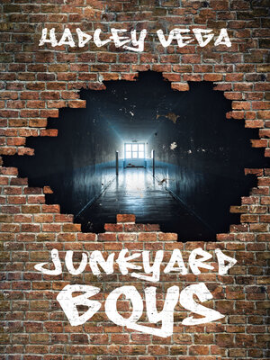 cover image of Junkyard Boys